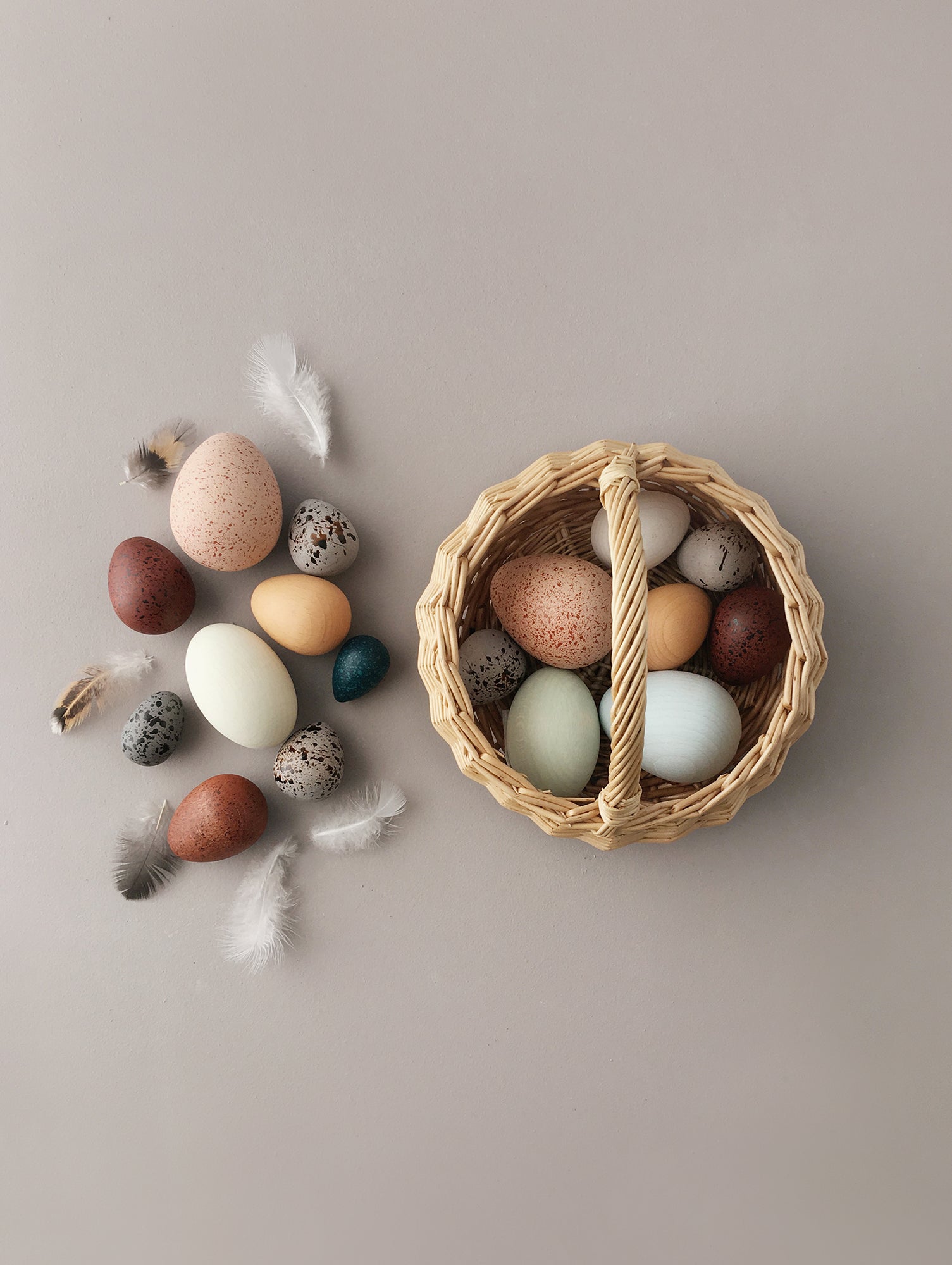 A Dozen Bird Eggs in a box by Moon Picnic