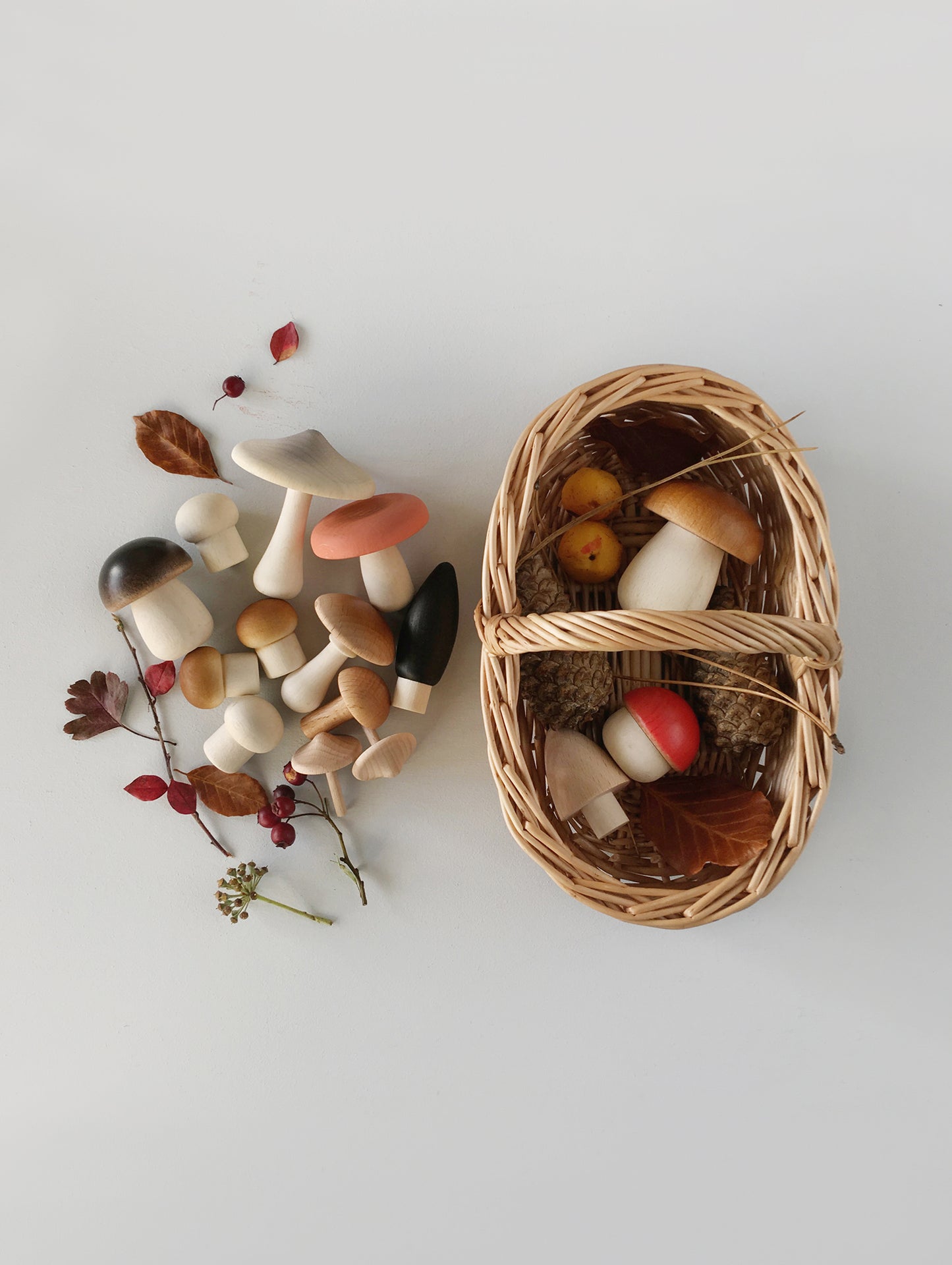 Forest Mushrooms Basket by Moon Picnic