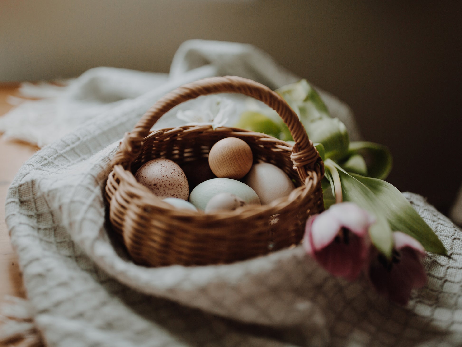 A Dozen Bird Eggs in a box by Moon Picnic