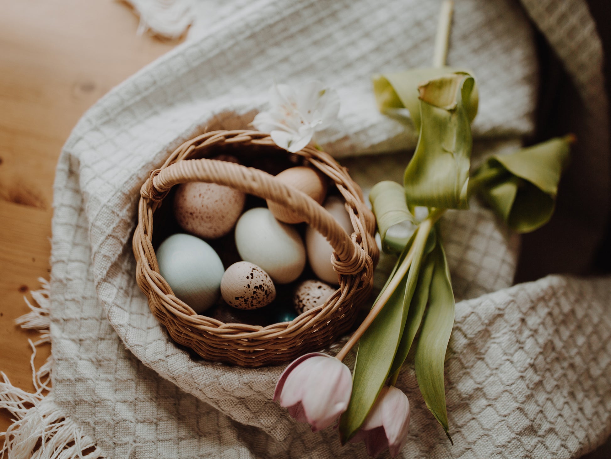 A Dozen Bird Eggs in a box by Moon Picnic