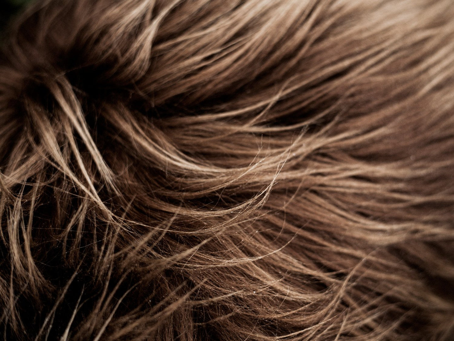 Cuero Long-haired Sheepskin - Brown