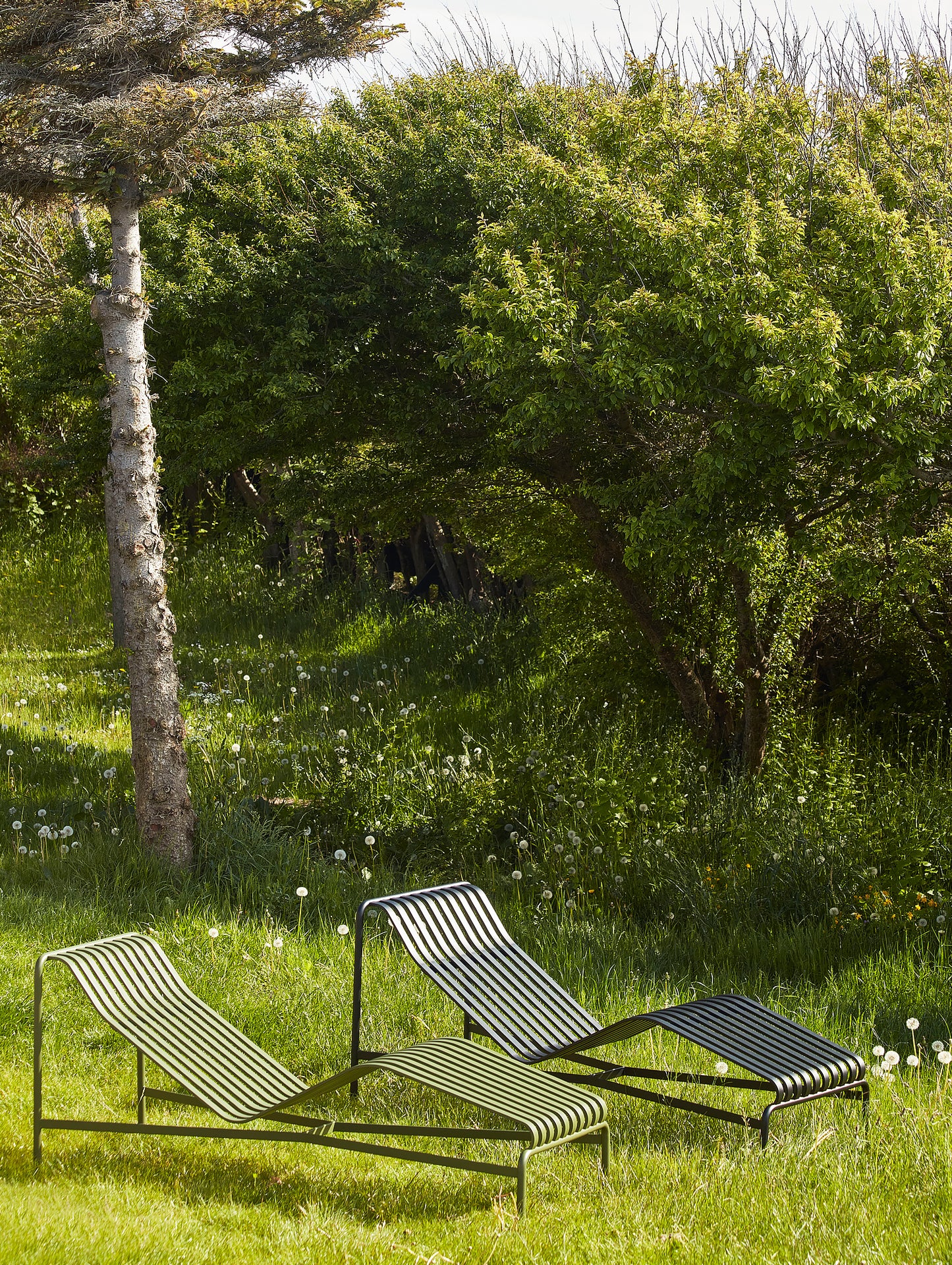 HAY Palissade Chaise Longue in Olive and Anthracite