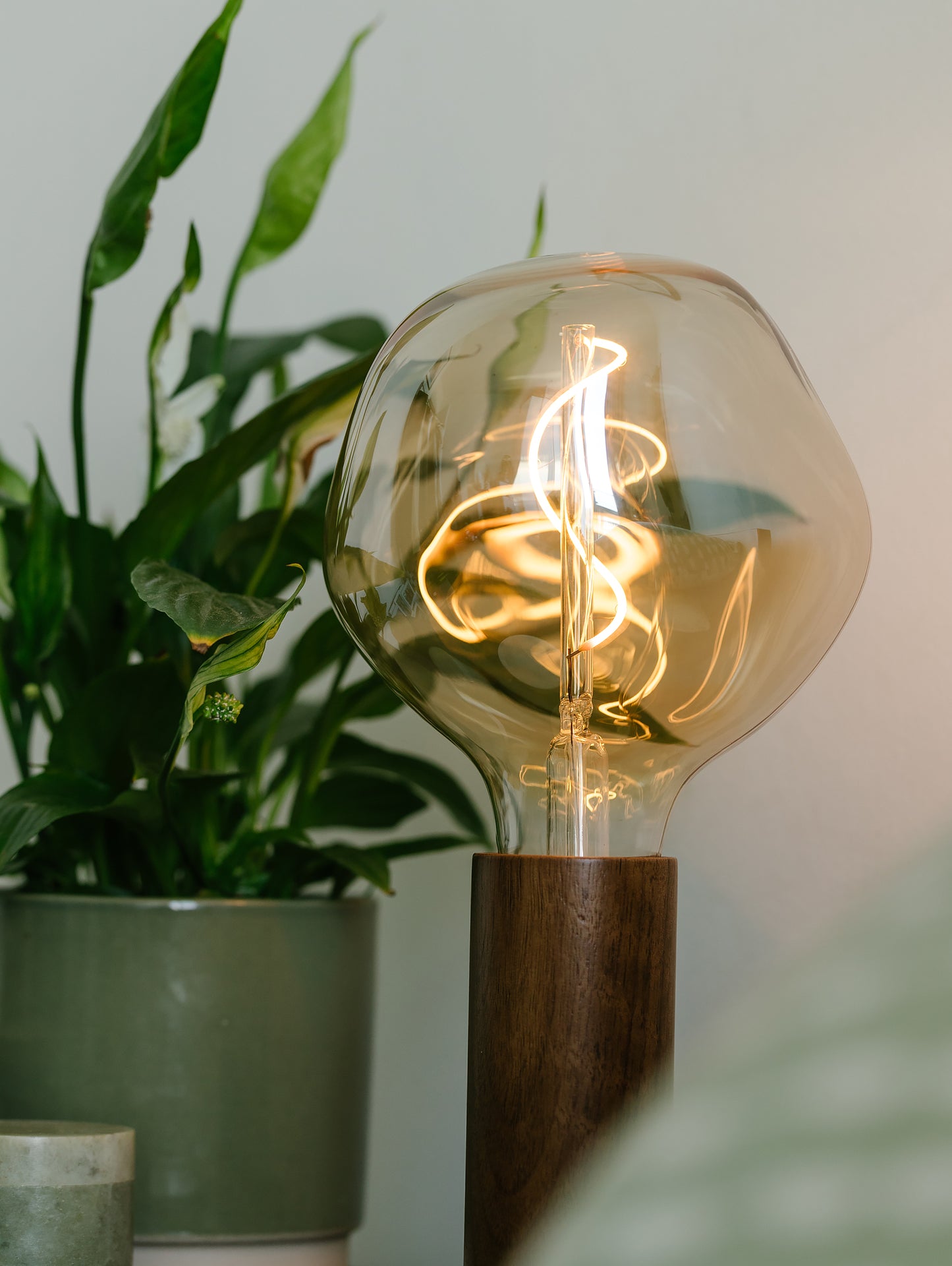 Walnut Knuckle Table Lamp by Tala