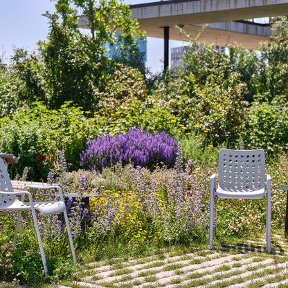 Landi Chair by Vitra