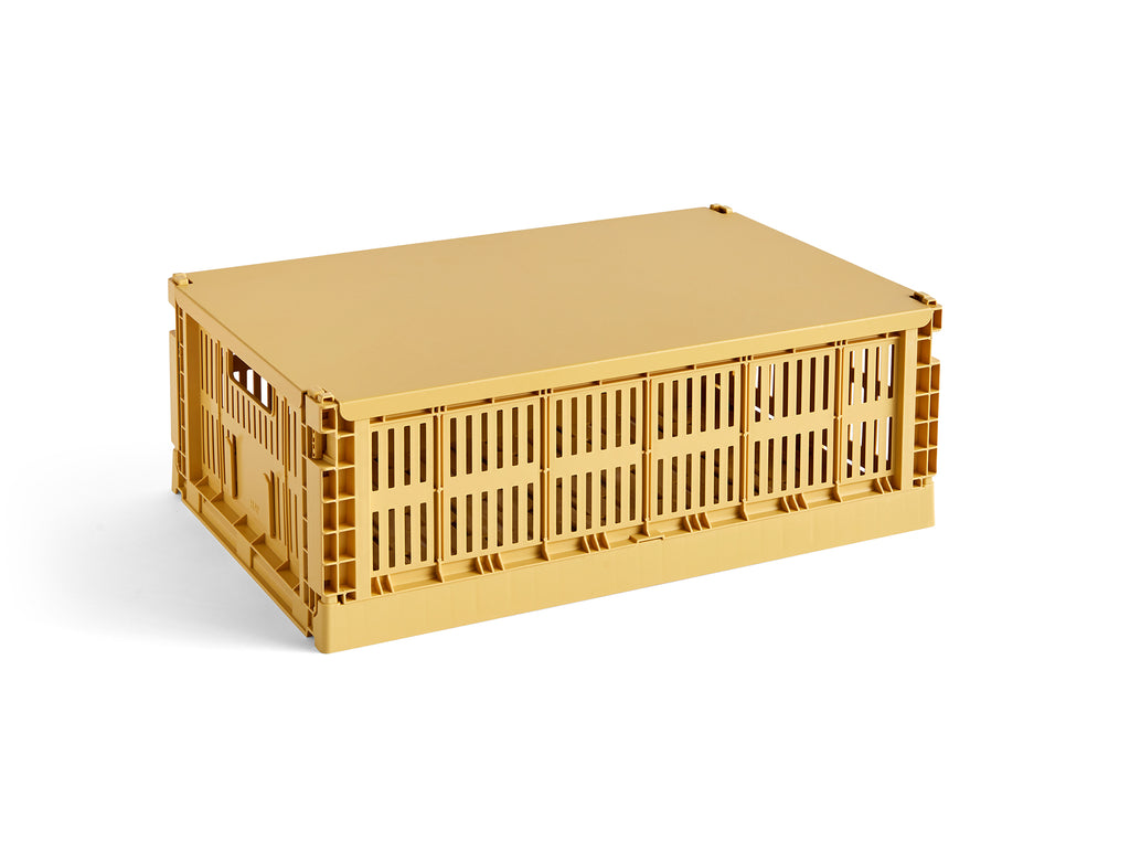 Colour Crate Lid by HAY - Large / Golden