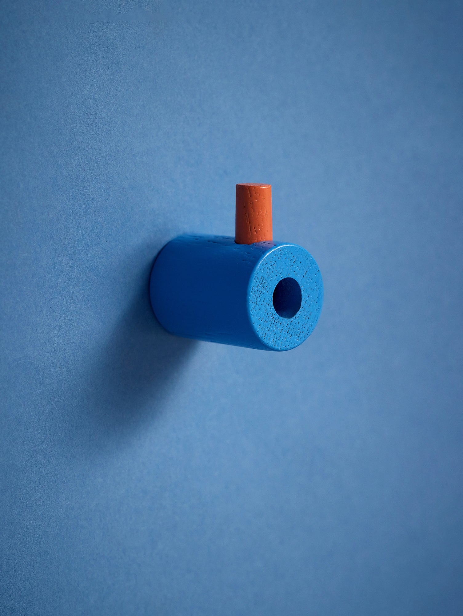 Wooden Wall Hook by Moebe - Blue / Rose Lacquered Oak
