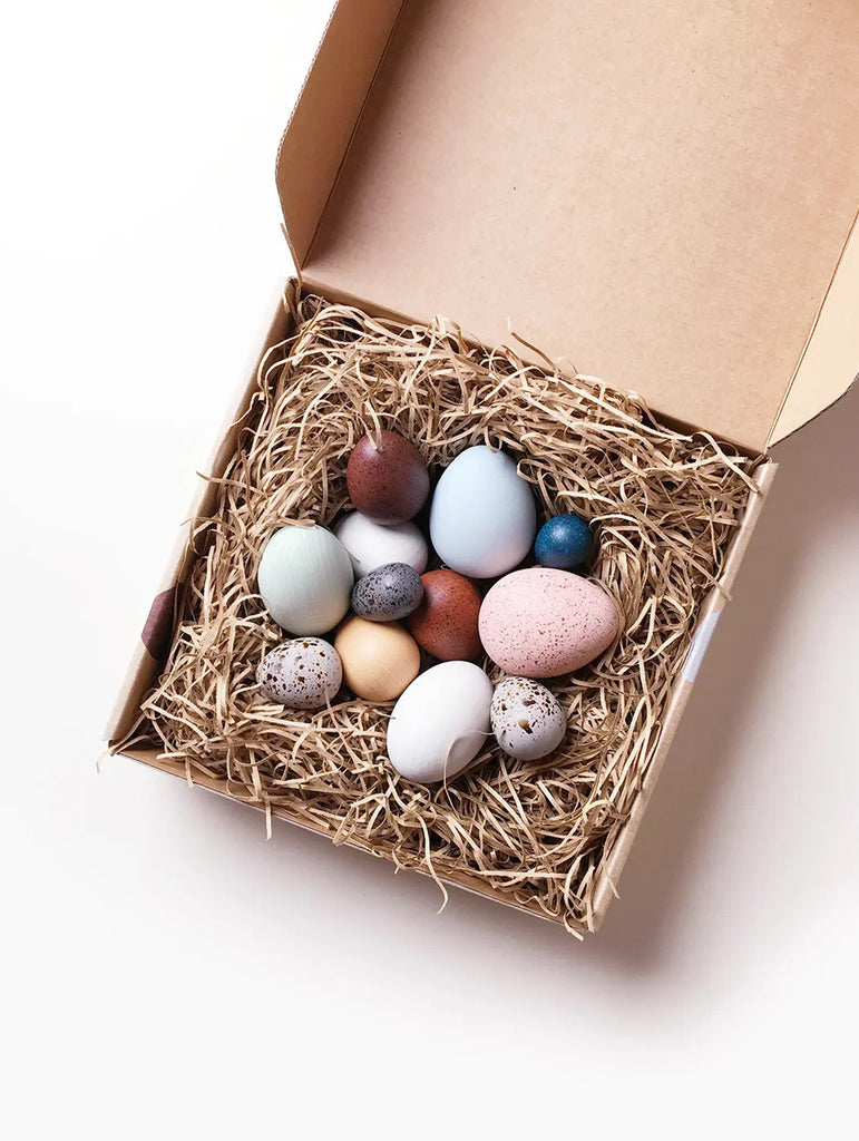 A Dozen Bird Eggs in a box by Moon Picnic