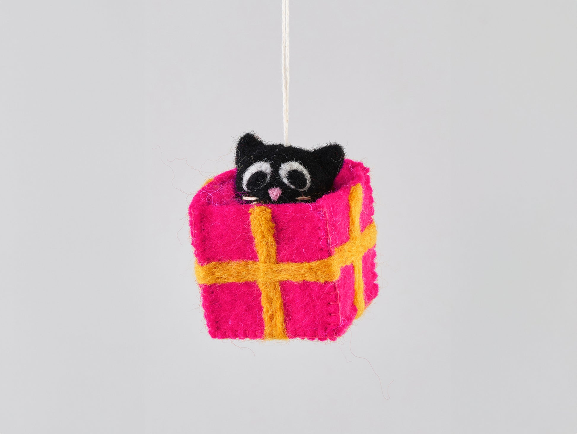 Cat Felted Hanging Decorations - Roland, Cat in a Box