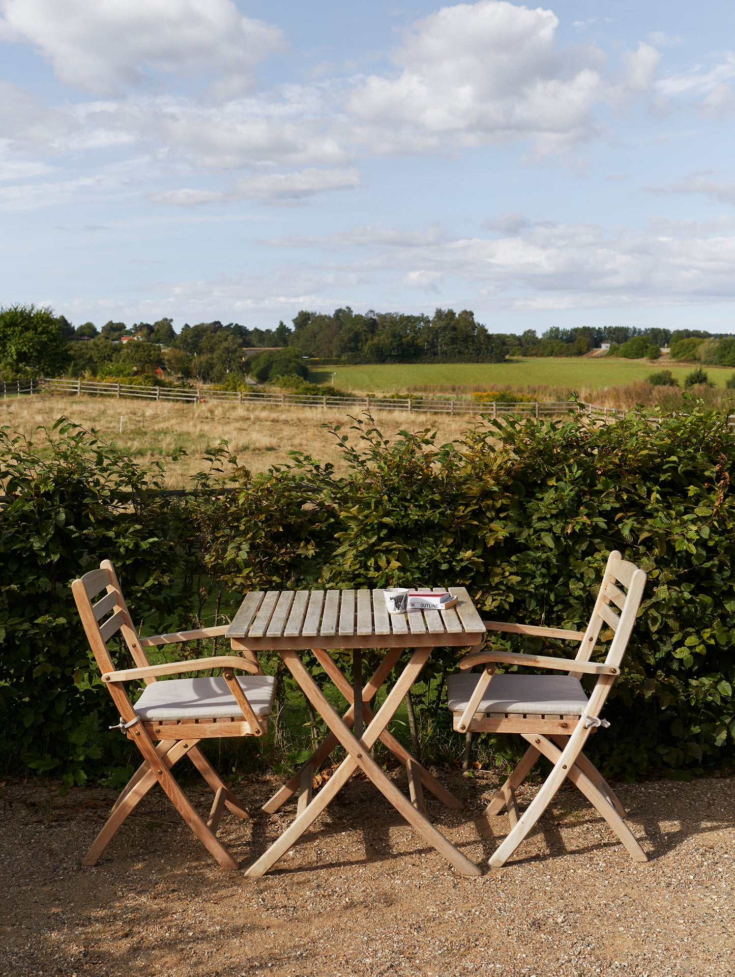Selandia Chair Seat Cushion by Fritz Hansen 