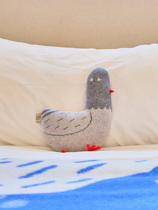 Paddy Pigeon