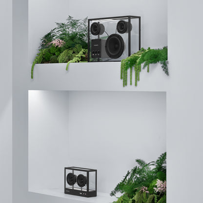 Small Transparent Speaker by Transparent - Black