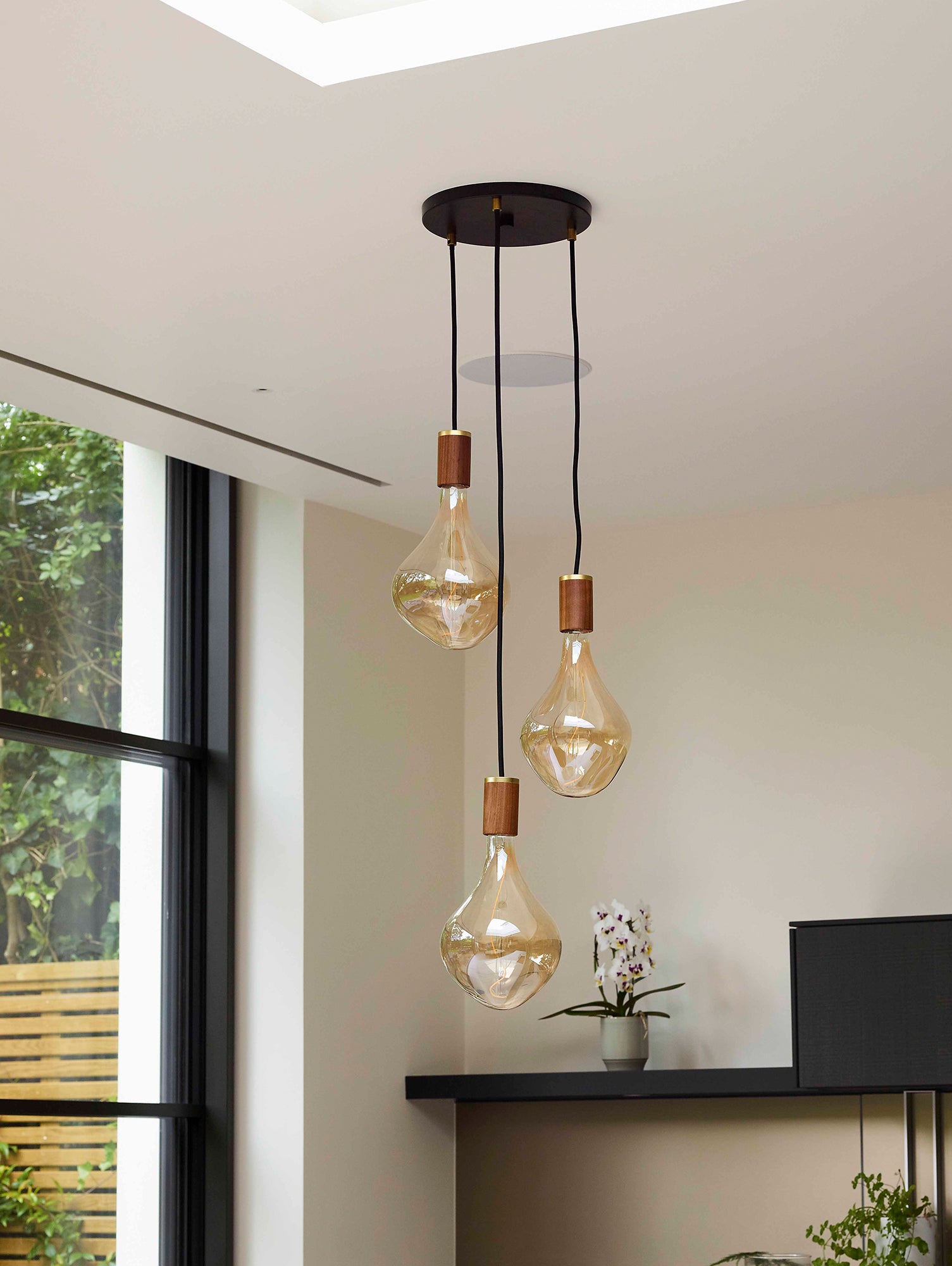 Triple Pendant with Voronoi II by Tala - Black Canopy / Brass Grip with 3 Walnut Pendants