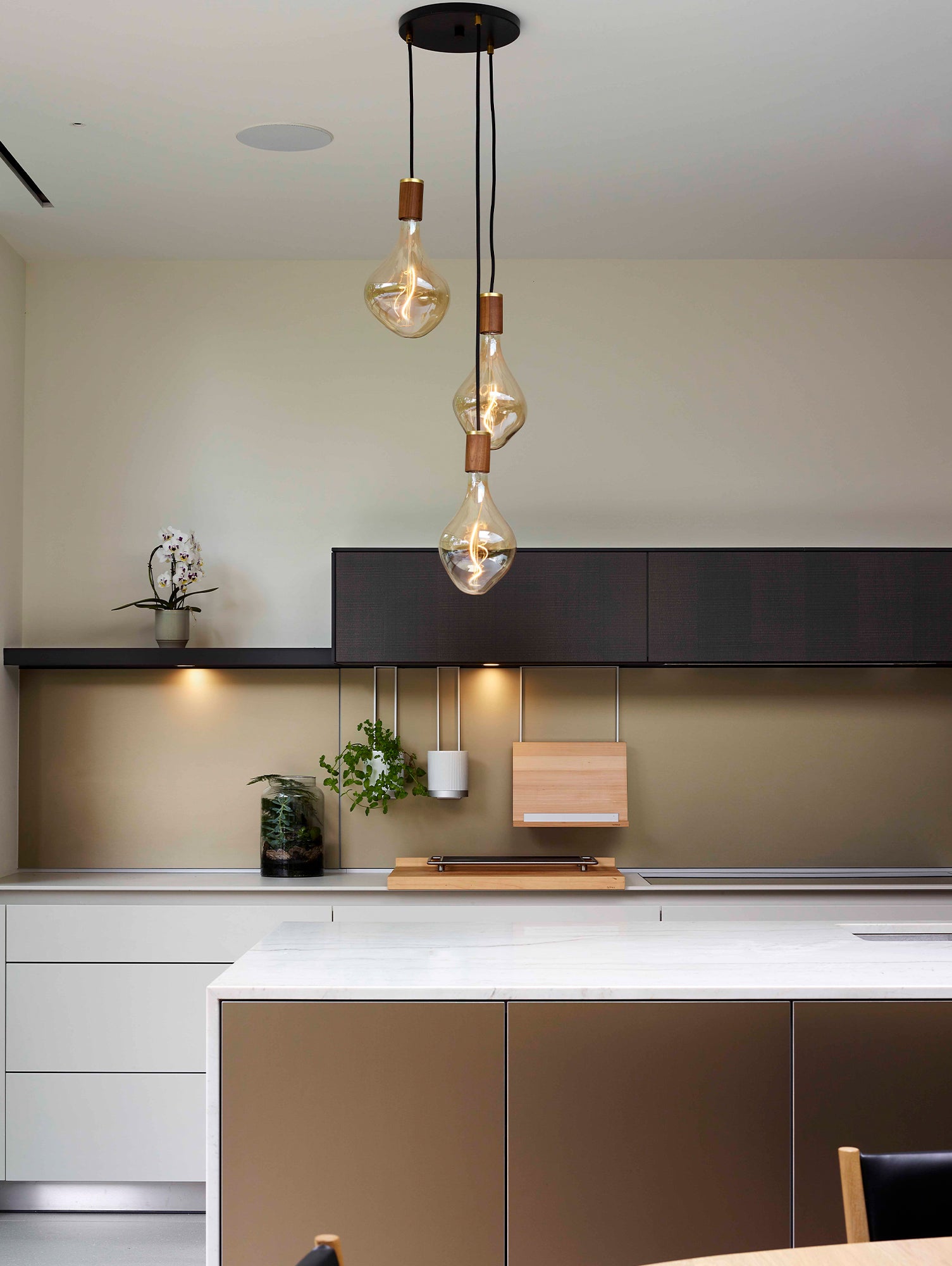 Triple Pendant with Voronoi II by Tala - Black Canopy / Brass Grip with Walnut Pendants