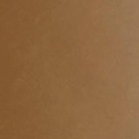 Swatch for Aida Cognac Leather