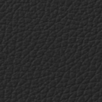 Swatch for Aura Black Leather