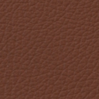 Swatch for Aura Cognac Leather