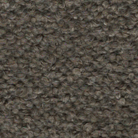 Swatch for Barnum Boucle 10 / Dark Grey