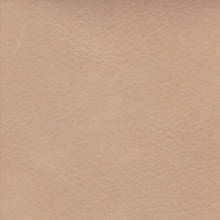 Swatch for Beige Silk Leather