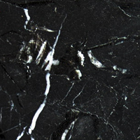 Swatch for Black Nero Marquina Marble