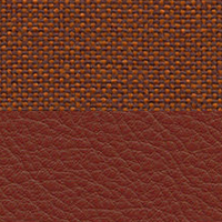 Swatch for Brandy Premium F Leather / Plano Marron Cognac (L50)