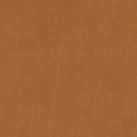 Swatch for Cognac Silk Leather (SIL0250)