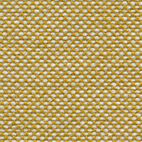 Swatch for Fabric / Mustard-Ivory