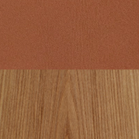 Swatch for Front: Grace Walnut Leather / Back: Clear Lacquered Elm Veneer