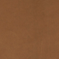 Swatch for Grace Leather Cognac