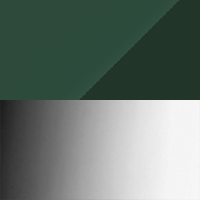 Swatch for High Gloss Dark Green Shade with Chrome Base