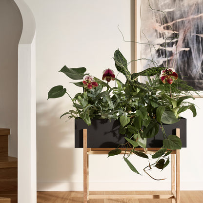 Botanic Stand by Design House Stockholm