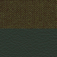 Swatch for Jade Premium F Leather / Plano Coconut Forest (L50)