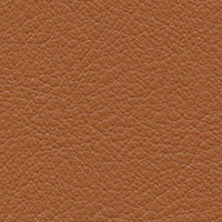 Swatch for Leather / Cognac