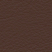 Swatch for Leather / Marron