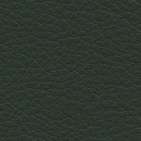 Swatch for Leather Premium 59 Jade (L50)