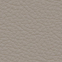 Swatch for Leather / Sand