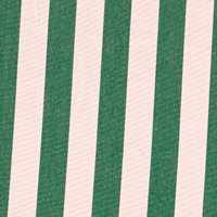 Swatch for Light Apricot / Dark Green Stripes