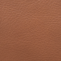 Swatch for Nevada Cognac Leather