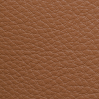 Swatch for Sand California Leather