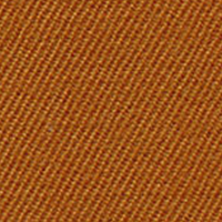 Swatch for Twill 02 Cognac (F60)