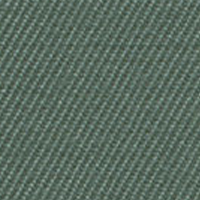 Swatch for Twill 17 Green Grey (F60)