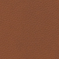 Swatch for Walnut Essential Leather