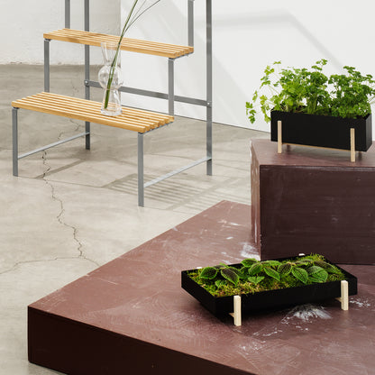 Botanic Box by Design House Stockholm