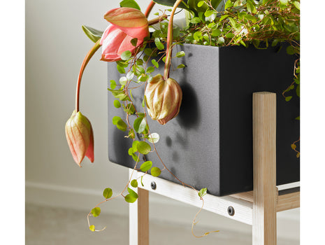 Botanic Stand by Design House Stockholm