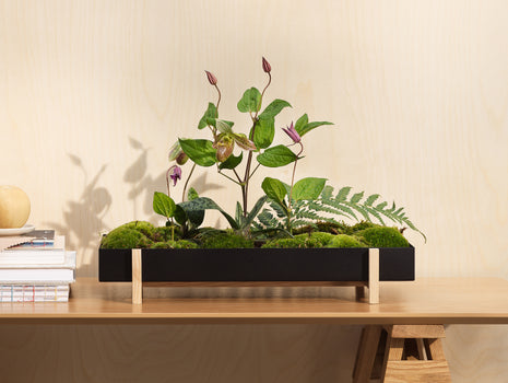 Flower Tray by Design House Stockholm