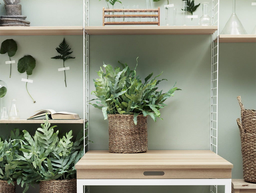 String System Folding Table by String · Really Well Made