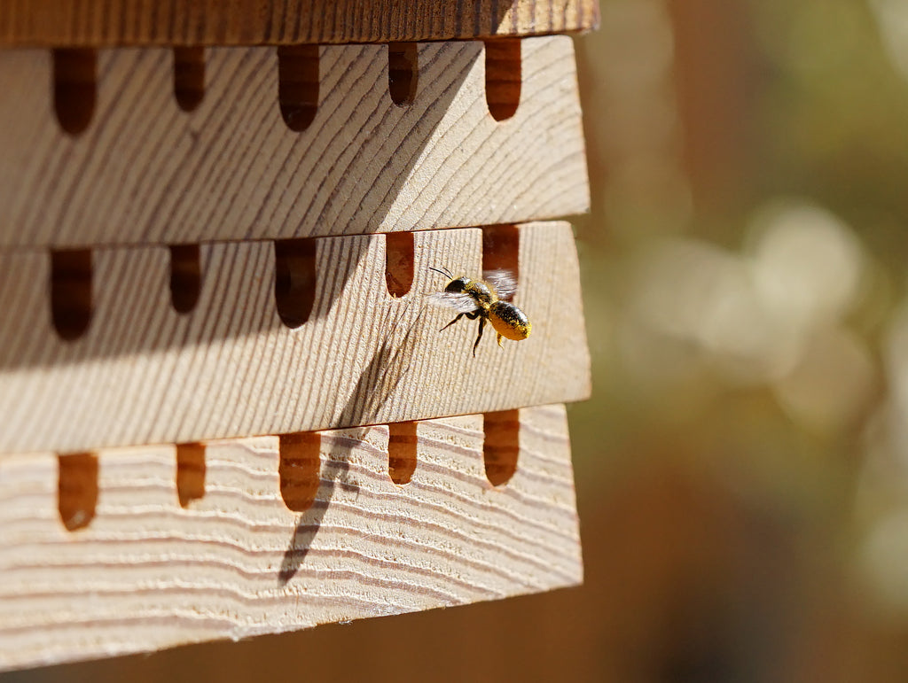 Hive Five Bee House by Really Well Made