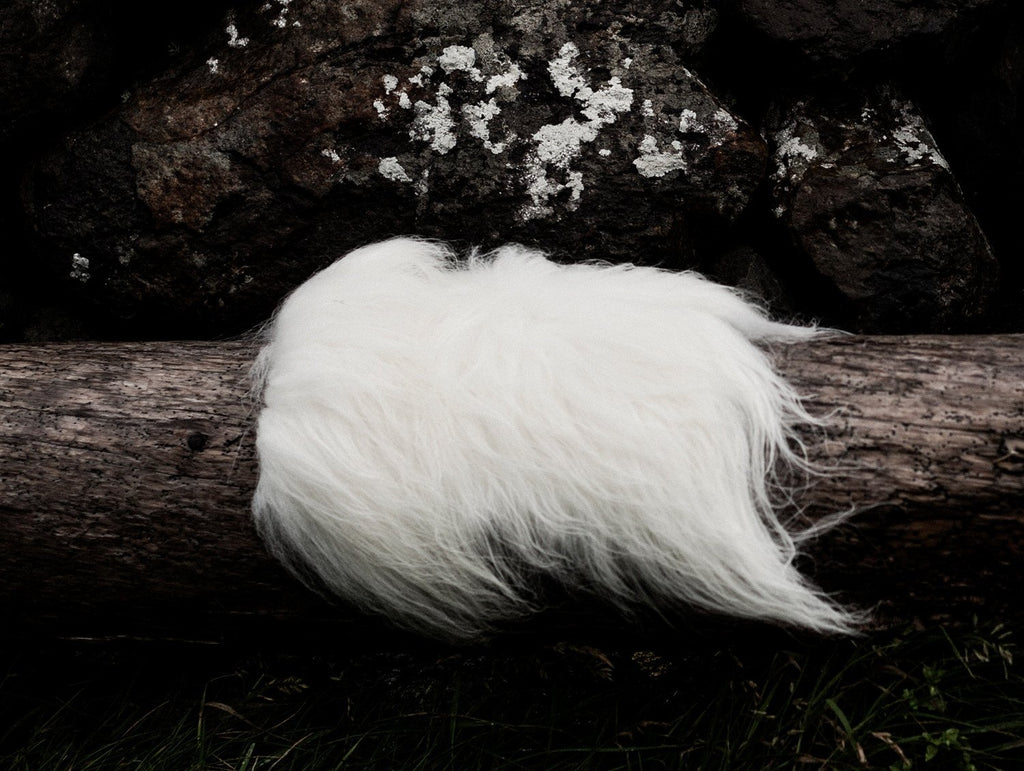 Cuero Long-haired Sheepskin - White