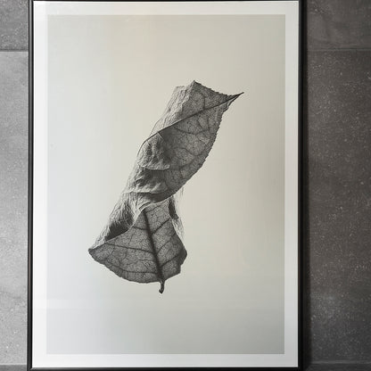 Sabi Leaf 04 by Norm Architects X Paper Collective